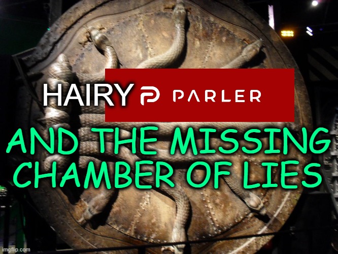 Echo-serpents | AND THE MISSING CHAMBER OF LIES; HAIRY | image tagged in lies,missing,maga | made w/ Imgflip meme maker