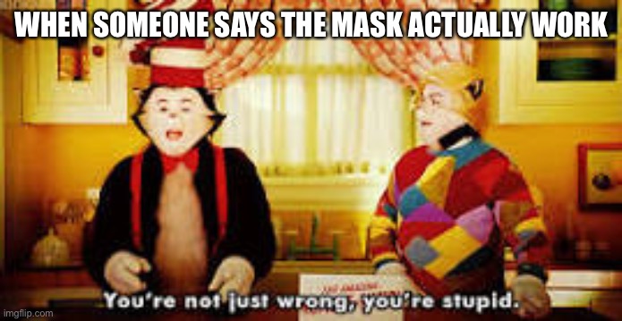Mask don’t work | WHEN SOMEONE SAYS THE MASK ACTUALLY WORK | image tagged in your not just wrong your stupid | made w/ Imgflip meme maker