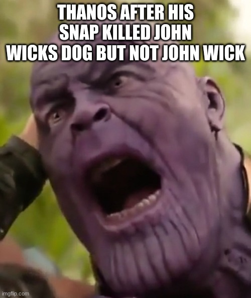 oh crappo | THANOS AFTER HIS SNAP KILLED JOHN WICKS DOG BUT NOT JOHN WICK | image tagged in thanos scream | made w/ Imgflip meme maker