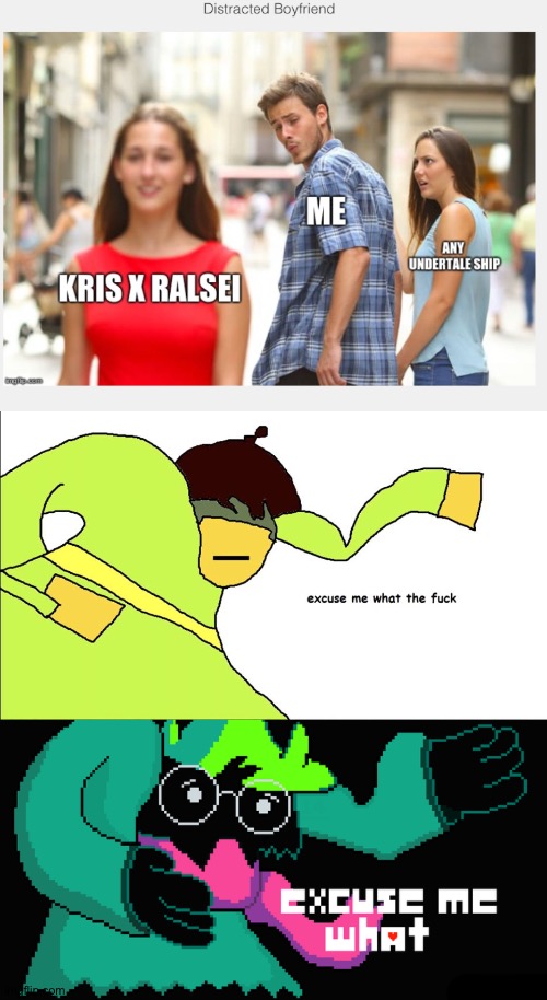 WHAT | image tagged in excuse me what the frick,ralsei excuse me what,ships,undertale,deltarune,kris | made w/ Imgflip meme maker