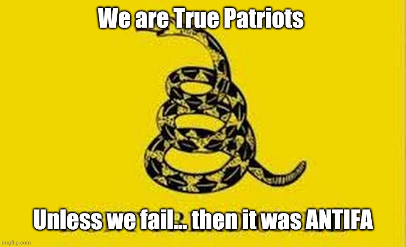 Colonial Flag |  We are True Patriots; Unless we fail... then it was ANTIFA | image tagged in colonial flag | made w/ Imgflip meme maker