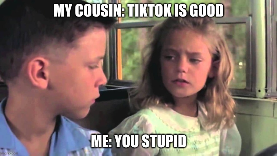 Are you stupid or something | MY COUSIN: TIKTOK IS GOOD; ME: YOU STUPID | image tagged in are you stupid or something | made w/ Imgflip meme maker