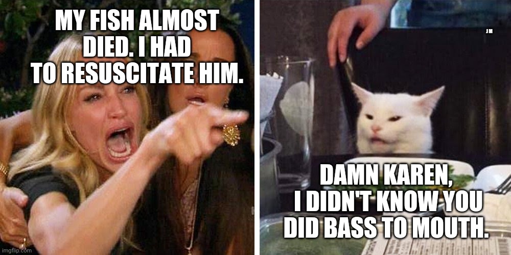 Smudge the cat | J M; MY FISH ALMOST DIED. I HAD TO RESUSCITATE HIM. DAMN KAREN,  I DIDN'T KNOW YOU DID BASS TO MOUTH. | image tagged in smudge the cat | made w/ Imgflip meme maker