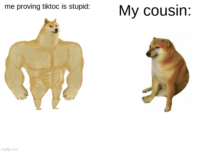 Buff Doge vs. Cheems | me proving tiktoc is stupid:; My cousin: | image tagged in memes,buff doge vs cheems | made w/ Imgflip meme maker