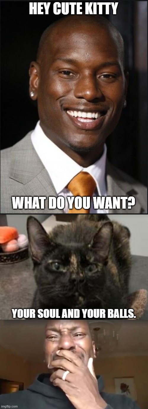 tyrese vs cat | HEY CUTE KITTY; WHAT DO YOU WANT? YOUR SOUL AND YOUR BALLS. | image tagged in evil cat,cats | made w/ Imgflip meme maker