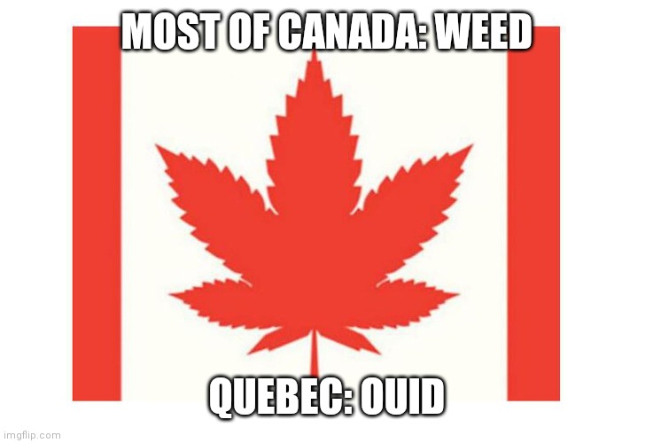a joke but still | MOST OF CANADA: WEED; QUEBEC: OUID | image tagged in cannaba | made w/ Imgflip meme maker