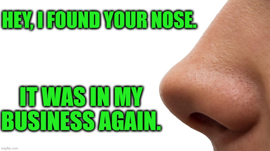 Oops... | HEY, I FOUND YOUR NOSE. IT WAS IN MY BUSINESS AGAIN. | image tagged in fun,funny meme,lol,the truth teller | made w/ Imgflip meme maker