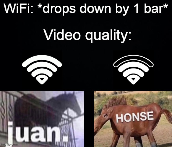 Juan vs Honse | WiFi: *drops down by 1 bar*; Video quality: | image tagged in black background,horses,memes | made w/ Imgflip meme maker