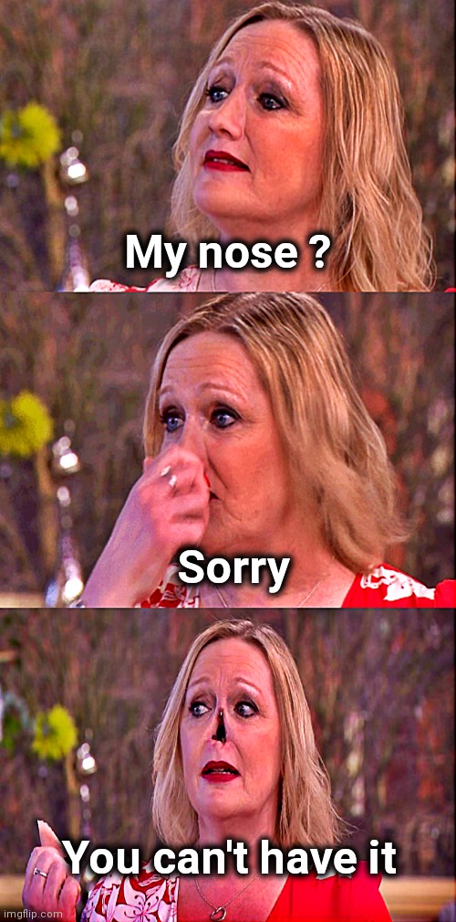 Bad pun nose picker | My nose ? You can't have it Sorry | image tagged in bad pun nose picker | made w/ Imgflip meme maker