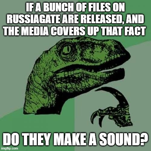 Philosoraptor |  IF A BUNCH OF FILES ON RUSSIAGATE ARE RELEASED, AND THE MEDIA COVERS UP THAT FACT; DO THEY MAKE A SOUND? | image tagged in memes,philosoraptor | made w/ Imgflip meme maker