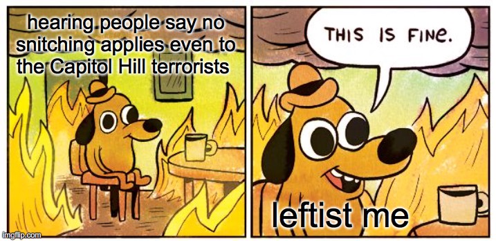 This Is Fine | hearing people say no snitching applies even to the Capitol Hill terrorists; leftist me | image tagged in memes,this is fine | made w/ Imgflip meme maker