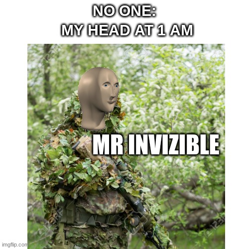 I N V E S T | NO ONE:; MY HEAD AT 1 AM; MR INVIZIBLE | image tagged in meme man,camouflage,smort | made w/ Imgflip meme maker
