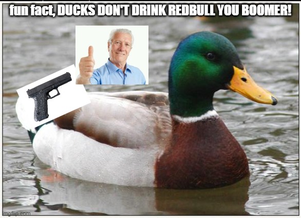 i just joined this stream, heres a duck with a gun | fun fact, DUCKS DON'T DRINK REDBULL YOU BOOMER! | image tagged in memes,actual advice mallard | made w/ Imgflip meme maker