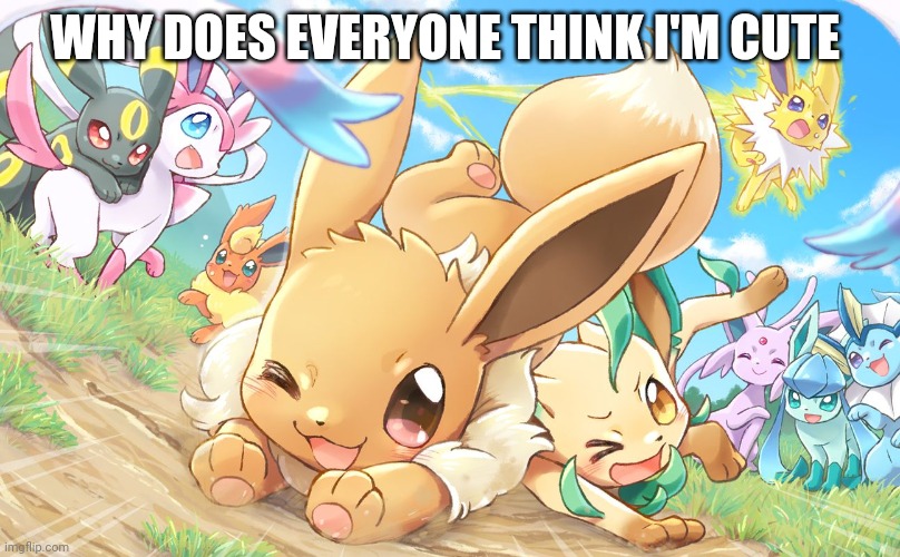 Evee gang | WHY DOES EVERYONE THINK I'M CUTE | image tagged in evee gang | made w/ Imgflip meme maker