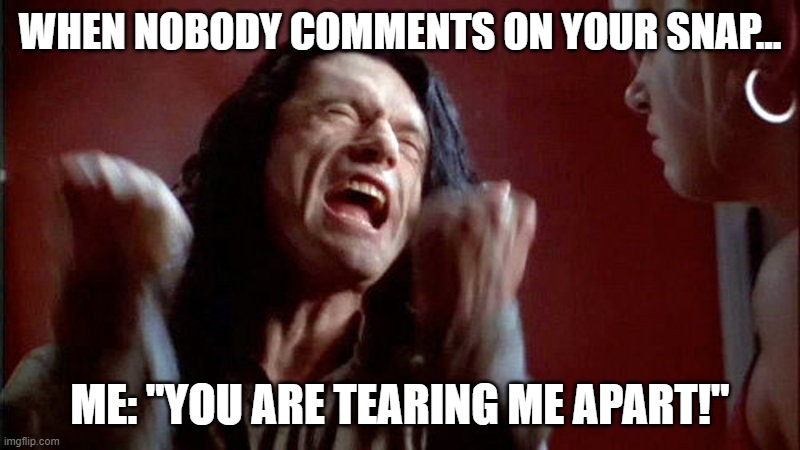 no comment | WHEN NOBODY COMMENTS ON YOUR SNAP... ME: "YOU ARE TEARING ME APART!" | image tagged in tearing me apart lisa | made w/ Imgflip meme maker