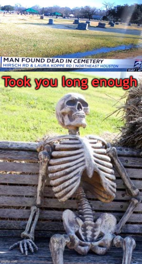 Took you long enough | image tagged in memes,waiting skeleton,cemetery,funny | made w/ Imgflip meme maker