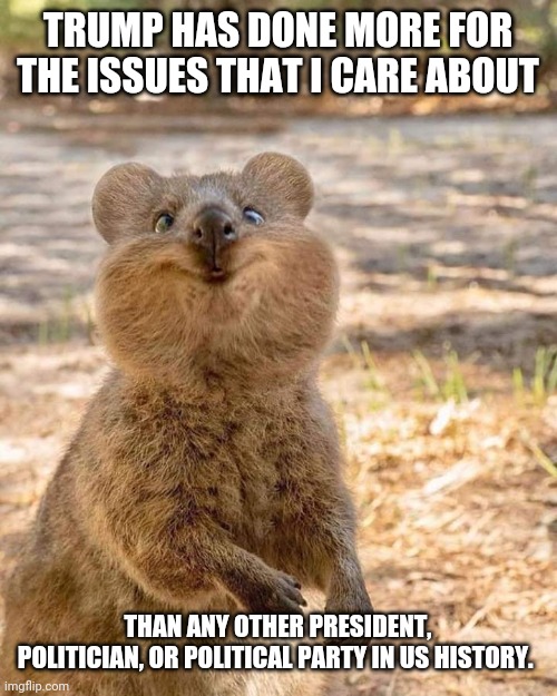 Crazy Wombat | TRUMP HAS DONE MORE FOR THE ISSUES THAT I CARE ABOUT THAN ANY OTHER PRESIDENT, POLITICIAN, OR POLITICAL PARTY IN US HISTORY. | image tagged in crazy wombat | made w/ Imgflip meme maker