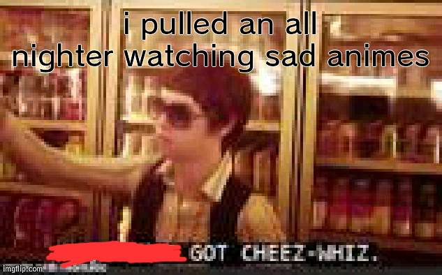 i watched wolf children, a whisker away anndddd whisper of the heart | i pulled an all nighter watching sad animes | image tagged in no but i got cheez-whiz | made w/ Imgflip meme maker