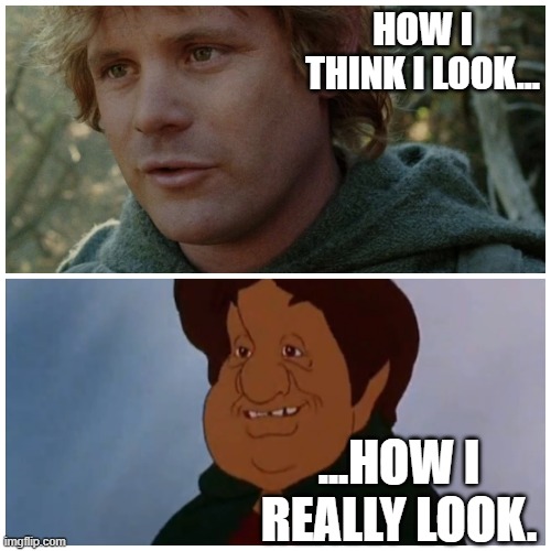 reality | HOW I THINK I LOOK... ...HOW I REALLY LOOK. | image tagged in samwise gamgee comparison | made w/ Imgflip meme maker