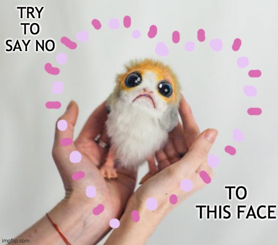 Porg puppy (From the Etsy shop BestCatShop) | TRY TO SAY NO; TO THIS FACE | image tagged in baby porg,cute,porg,heart | made w/ Imgflip meme maker