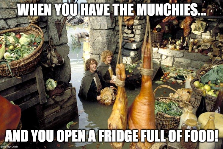 munchies | WHEN YOU HAVE THE MUNCHIES... AND YOU OPEN A FRIDGE FULL OF FOOD! | image tagged in lord of the rings | made w/ Imgflip meme maker