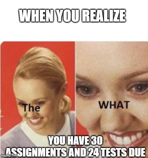 The what? | WHEN YOU REALIZE; YOU HAVE 30 ASSIGNMENTS AND 24 TESTS DUE | image tagged in the what | made w/ Imgflip meme maker