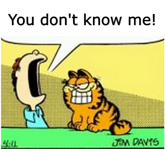 Jon Arbuckle yelling at Garfield the cat | You don't know me! | image tagged in jon arbuckle yelling at garfield the cat | made w/ Imgflip meme maker