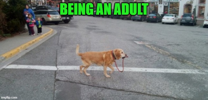 being an adult | BEING AN ADULT | image tagged in leash,dog | made w/ Imgflip meme maker