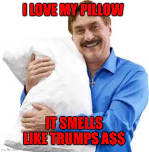 my pillow guy | I LOVE MY PILLOW; IT SMELLS LIKE TRUMPS A$$ | image tagged in my pillow guy | made w/ Imgflip meme maker