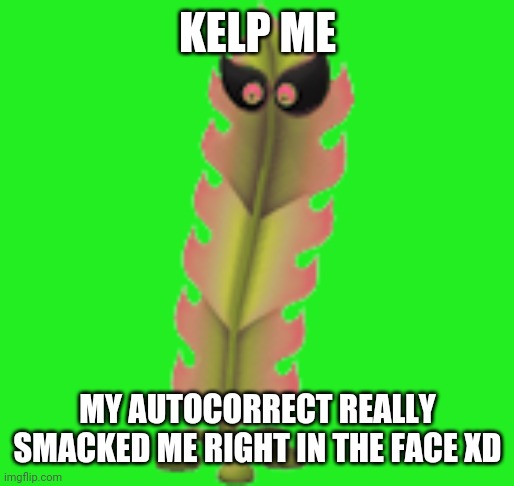 Q | KELP ME; MY AUTOCORRECT REALLY SMACKED ME RIGHT IN THE FACE XD | image tagged in le kelp boi | made w/ Imgflip meme maker