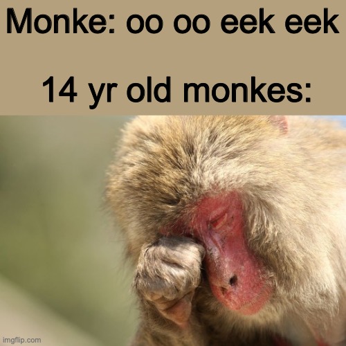 ooo ooo eee eee | 14 yr old monkes:; Monke: oo oo eek eek | image tagged in memes | made w/ Imgflip meme maker
