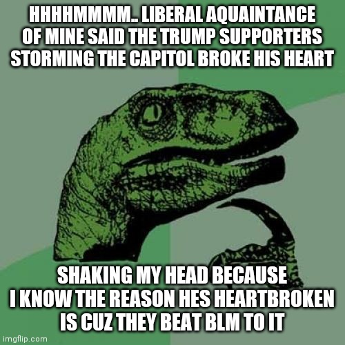 Philosoraptor Meme | HHHHMMMM.. LIBERAL AQUAINTANCE OF MINE SAID THE TRUMP SUPPORTERS STORMING THE CAPITOL BROKE HIS HEART; SHAKING MY HEAD BECAUSE I KNOW THE REASON HES HEARTBROKEN IS CUZ THEY BEAT BLM TO IT | image tagged in memes,philosoraptor | made w/ Imgflip meme maker