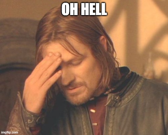 Frustrated Boromir Meme | OH HELL | image tagged in memes,frustrated boromir | made w/ Imgflip meme maker