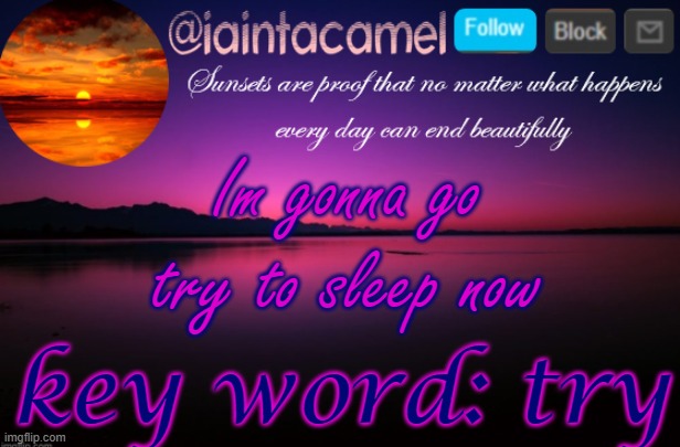 gn -3:31am ET | Im gonna go try to sleep now; key word: try | image tagged in iaintacamel | made w/ Imgflip meme maker