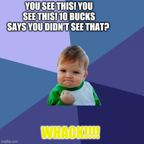 Success Kid Meme | YOU SEE THIS! YOU SEE THIS! 10 BUCKS SAYS YOU DIDN'T SEE THAT? WHACK!!!! | image tagged in memes,success kid | made w/ Imgflip meme maker