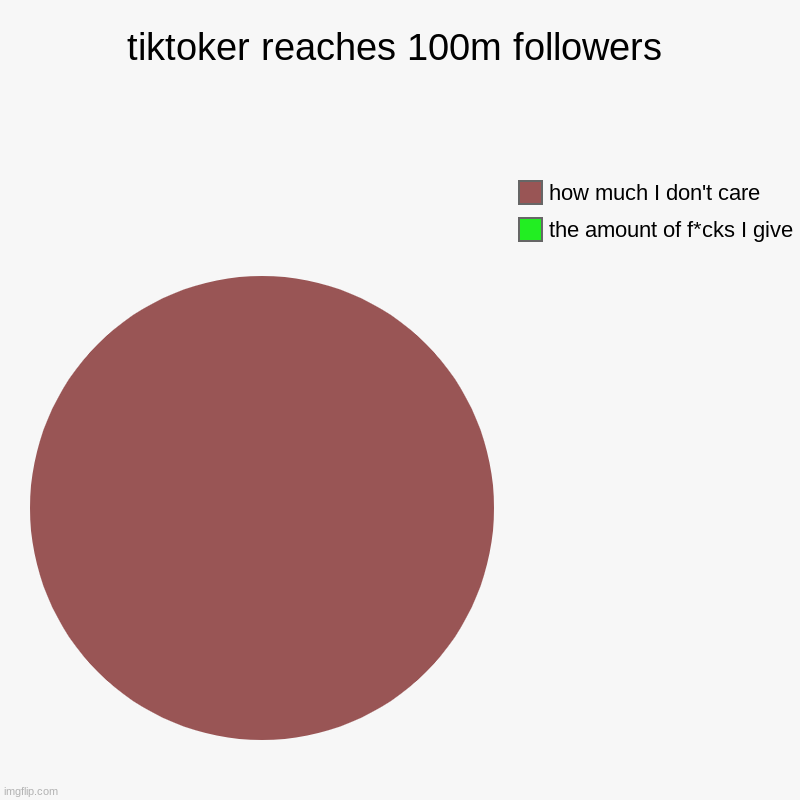 I think I speak for everyone | tiktoker reaches 100m followers | the amount of f*cks I give, how much I don't care | image tagged in charts,pie charts | made w/ Imgflip chart maker