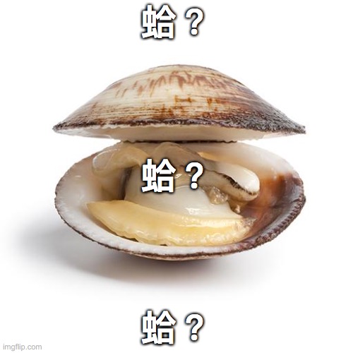 clam | 蛤？; 蛤？; 蛤？ | image tagged in clam | made w/ Imgflip meme maker