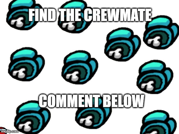 where is he | FIND THE CREWMATE; COMMENT BELOW | image tagged in blank white template | made w/ Imgflip meme maker