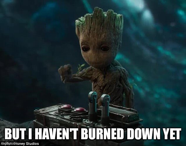 Baby groot | BUT I HAVEN'T BURNED DOWN YET | image tagged in baby groot | made w/ Imgflip meme maker