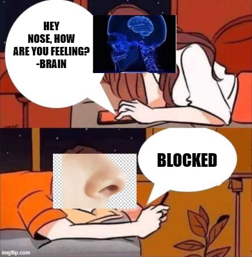 Blocked nose | HEY NOSE, HOW ARE YOU FEELING?
-BRAIN; BLOCKED | image tagged in boy and girl texting | made w/ Imgflip meme maker