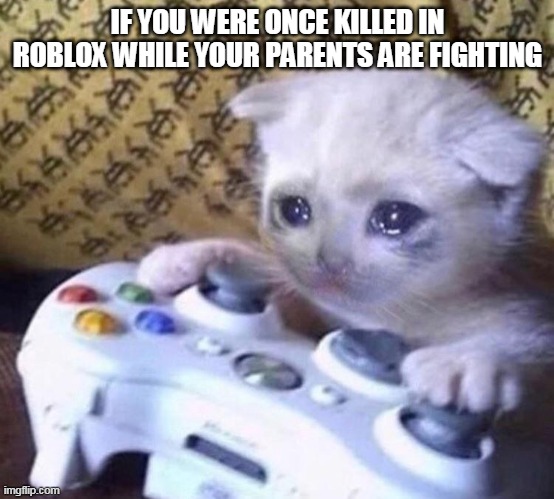 Sad Gamer Cat | IF YOU WERE ONCE KILLED IN ROBLOX WHILE YOUR PARENTS ARE FIGHTING | image tagged in sad gamer cat | made w/ Imgflip meme maker