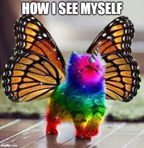 Rainbow unicorn butterfly kitten | HOW I SEE MYSELF | image tagged in rainbow unicorn butterfly kitten,memes,kitten,in my dreams | made w/ Imgflip meme maker