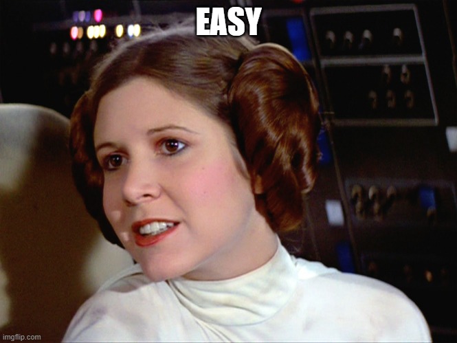 Princess Leia too easy | EASY | image tagged in princess leia too easy | made w/ Imgflip meme maker