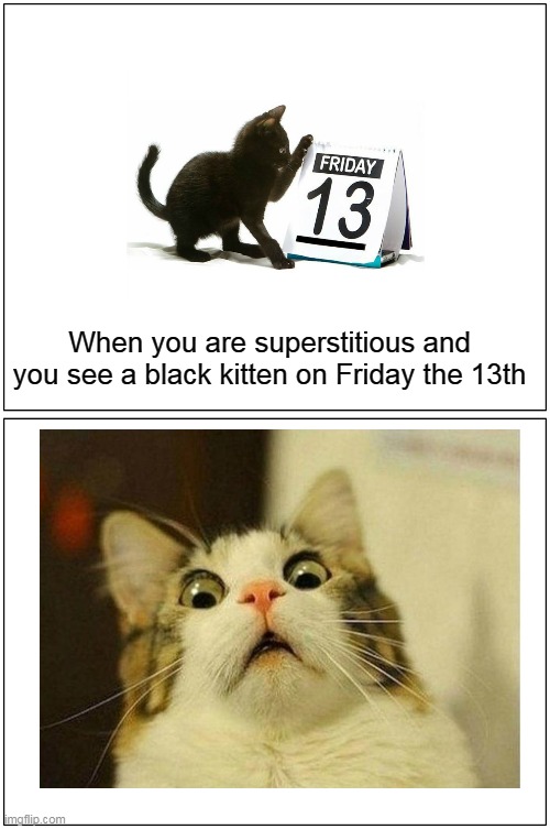 Double whammy if superstitious | When you are superstitious and you see a black kitten on Friday the 13th | image tagged in memes,blank comic panel 1x2,superstition | made w/ Imgflip meme maker