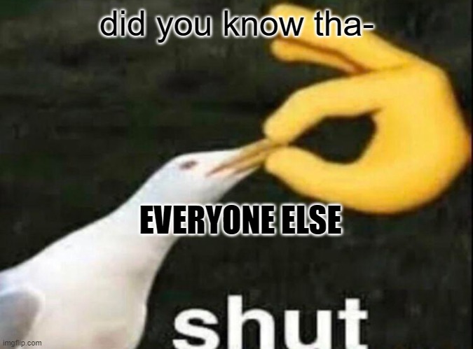 SHUT | did you know tha-; EVERYONE ELSE | image tagged in shut | made w/ Imgflip meme maker