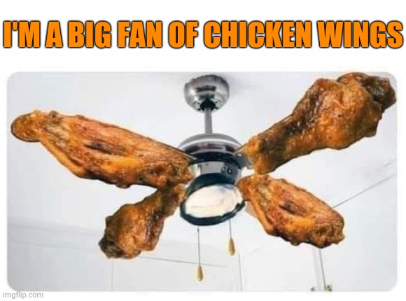 Spicy hot | I'M A BIG FAN OF CHICKEN WINGS | image tagged in chicken wings,fan,eyeroll,dad jokes | made w/ Imgflip meme maker