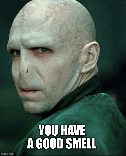 yOU hAvE tHAT | YOU HAVE A GOOD SMELL | image tagged in lord voldemort | made w/ Imgflip meme maker