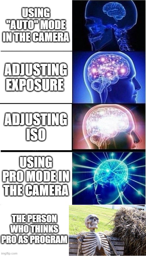 memes on you bro | USING "AUTO" MODE IN THE CAMERA; ADJUSTING EXPOSURE; ADJUSTING ISO; USING PRO MODE IN THE CAMERA; THE PERSON WHO THINKS PRO AS PROGRAM | image tagged in memes,expanding brain | made w/ Imgflip meme maker