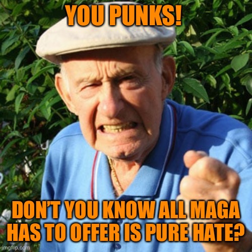 YOU PUNKS! DON’T YOU KNOW ALL MAGA HAS TO OFFER IS PURE HATE? | made w/ Imgflip meme maker
