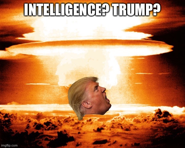 INTELLIGENCE? TRUMP? | made w/ Imgflip meme maker